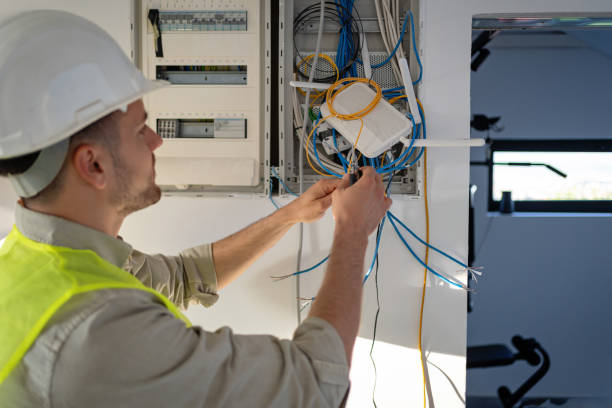 Best Electric Panel Repair  in Bonne Terre, MO